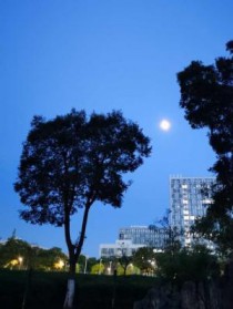 原罪2在线观看免费版高清